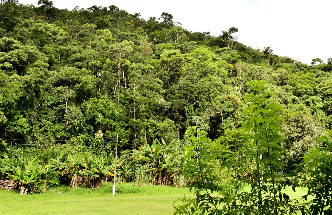 Vale Verde Penedo Hotel-1